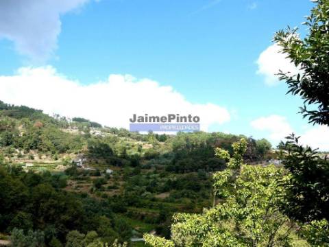 34.000m2 de terreno (Quinta) e 2 Ruínas a 8 minutos do Rio Douro. Portugal, Baião.