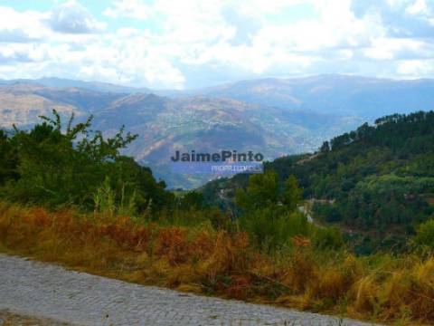 34.000m2 de terreno (Quinta) e 2 Ruínas a 8 minutos do Rio Douro. Portugal, Baião.