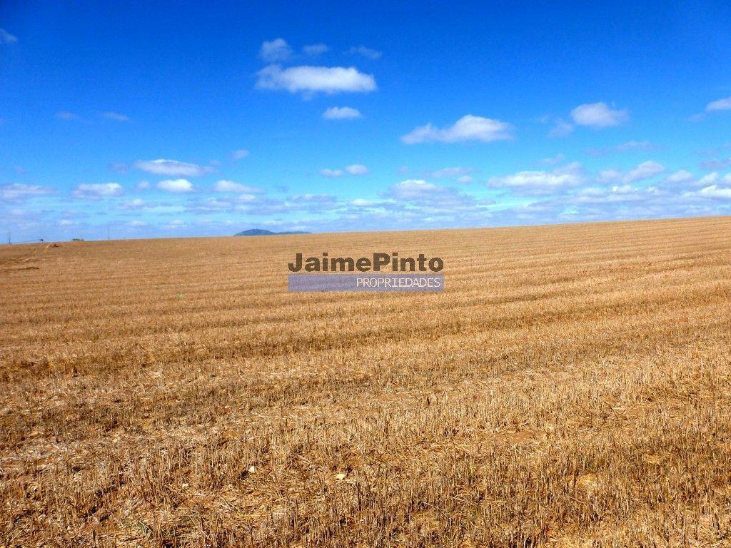 211ha TERRENO aptidão agrícola, concelho de Almeida. Portugal, Guarda.