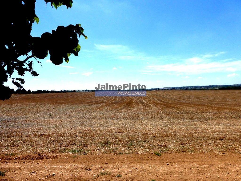 211ha TERRENO aptidão agrícola, concelho de Almeida. Portugal, Guarda.