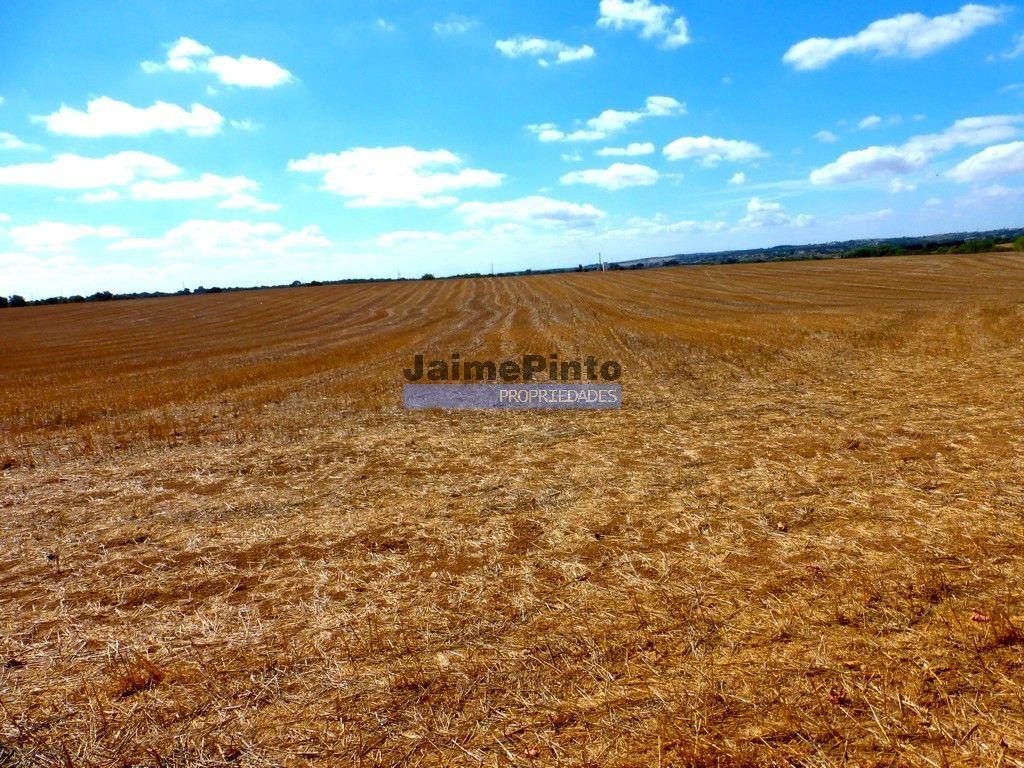 211ha TERRENO aptidão agrícola, concelho de Almeida. Portugal, Guarda.