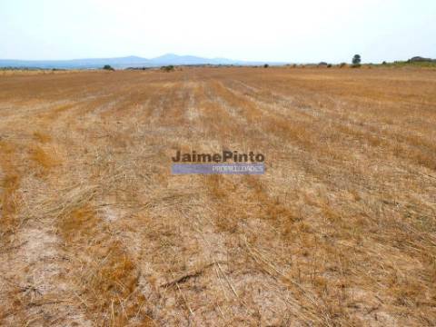 51.500m2 de TERRENO para agricultura. Portugal, Figueira de Castelo Rodrigo.