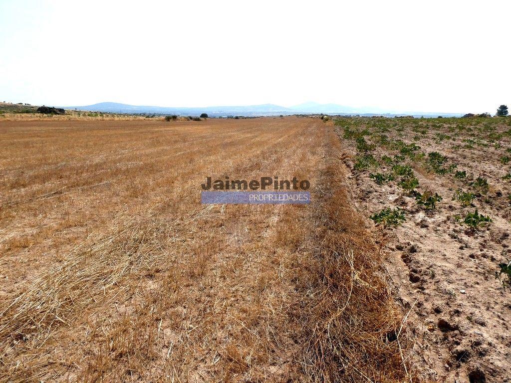 51.500m2 de TERRENO para agricultura. Portugal, Figueira de Castelo Rodrigo.