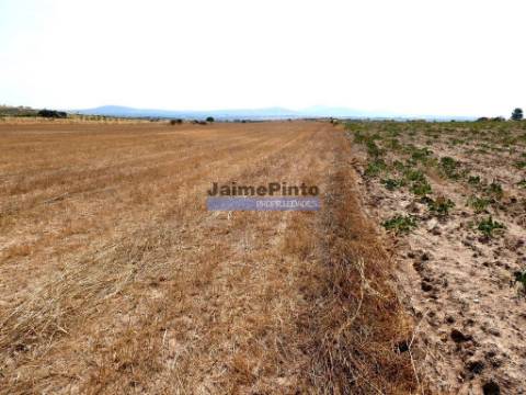 51.500m2 de TERRENO para agricultura. Portugal, Figueira de Castelo Rodrigo.