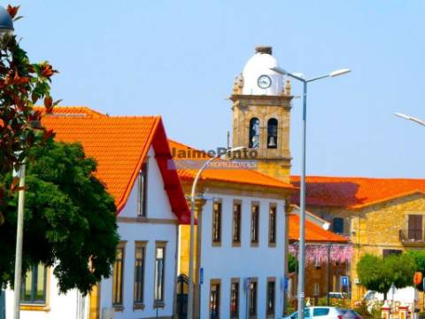 51.500m2 de TERRENO para agricultura. Portugal, Figueira de Castelo Rodrigo.