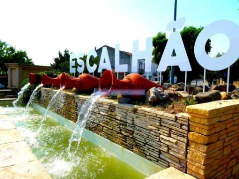 51.500m2 de TERRENO para agricultura. Portugal, Figueira de Castelo Rodrigo.