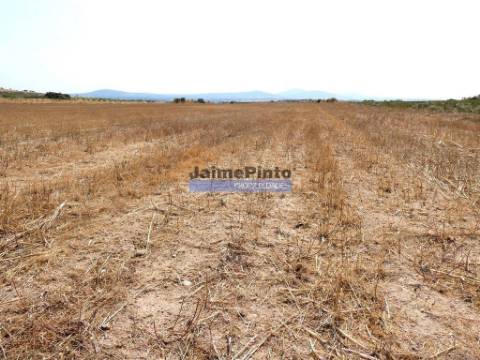 51.500m2 de TERRENO para agricultura. Portugal, Figueira de Castelo Rodrigo.