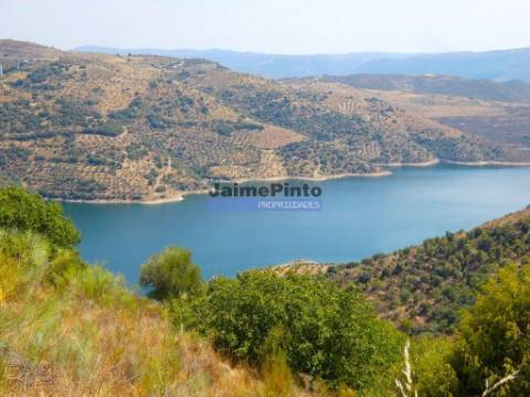 17.500m2 TERRENO rústico, em patamares, Vista Lago Sabor. Portugal, Alfândega da Fé.
