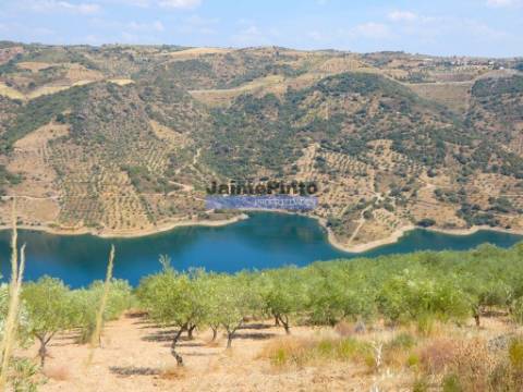 17.500m2 TERRENO rústico, em patamares, Vista Lago Sabor. Portugal, Alfândega da Fé.