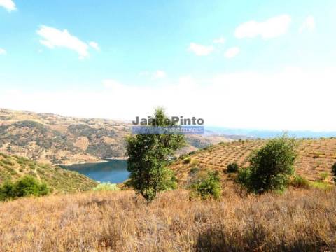 17.500m2 TERRENO rústico, em patamares, Vista Lago Sabor. Portugal, Alfândega da Fé.
