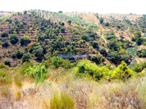 17.500m2 TERRENO rústico, em patamares, Vista Lago Sabor. Portugal, Alfândega da Fé.
