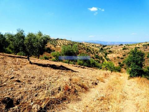 17.500m2 TERRENO rústico, em patamares, Vista Lago Sabor. Portugal, Alfândega da Fé.