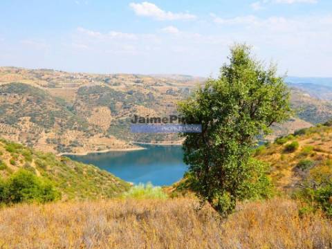 17.500m2 TERRENO rústico, em patamares, Vista Lago Sabor. Portugal, Alfândega da Fé.