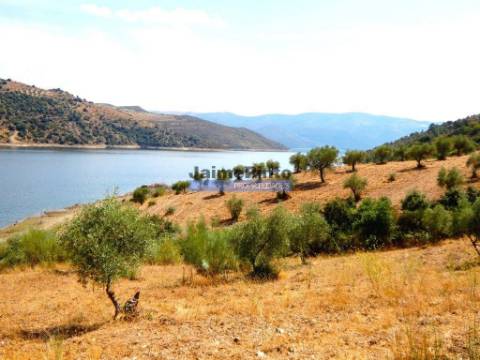 17.500m2 TERRENO rústico, em patamares, Vista Lago Sabor. Portugal, Alfândega da Fé.