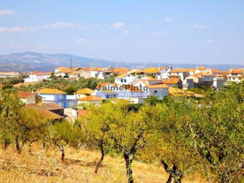 17.500m2 TERRENO rústico, em patamares, Vista Lago Sabor. Portugal, Alfândega da Fé.