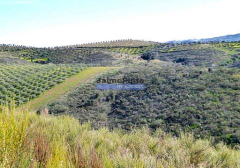 50.000m2 terra agrícola p/ Olival, Amendoal ou outras produções. Portugal, Alfândega da Fé.