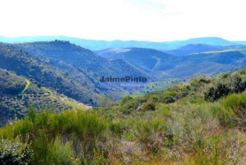 50.000m2 terra agrícola p/ Olival, Amendoal ou outras produções. Portugal, Alfândega da Fé.