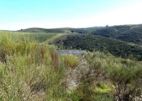 50.000m2 terra agrícola p/ Olival, Amendoal ou outras produções. Portugal, Alfândega da Fé.