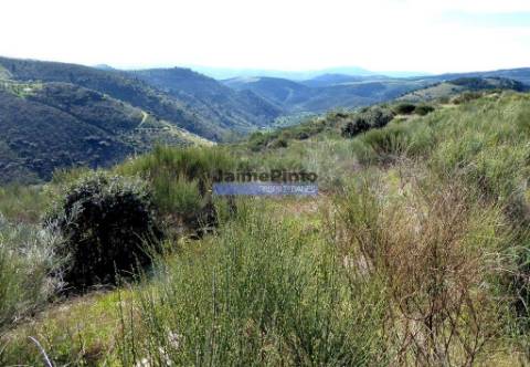 50.000m2 terra agrícola p/ Olival, Amendoal ou outras produções. Portugal, Alfândega da Fé.