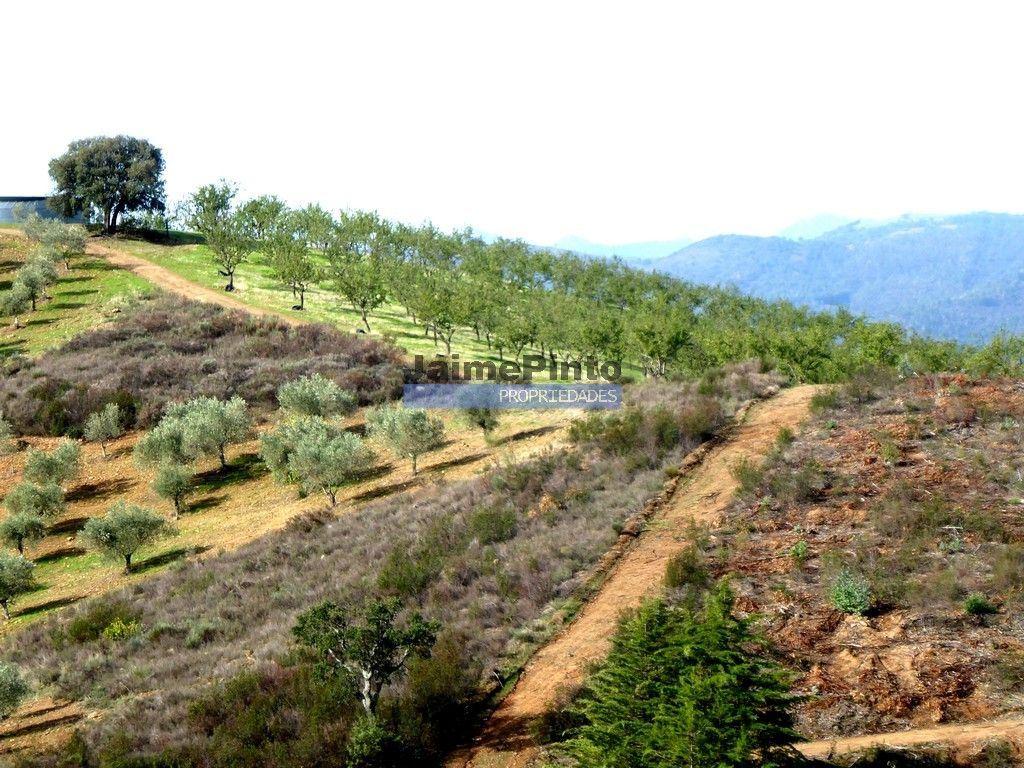 Terreno agrícola 110.000m2 para plantações novas. Portugal, Alfândega da Fé.