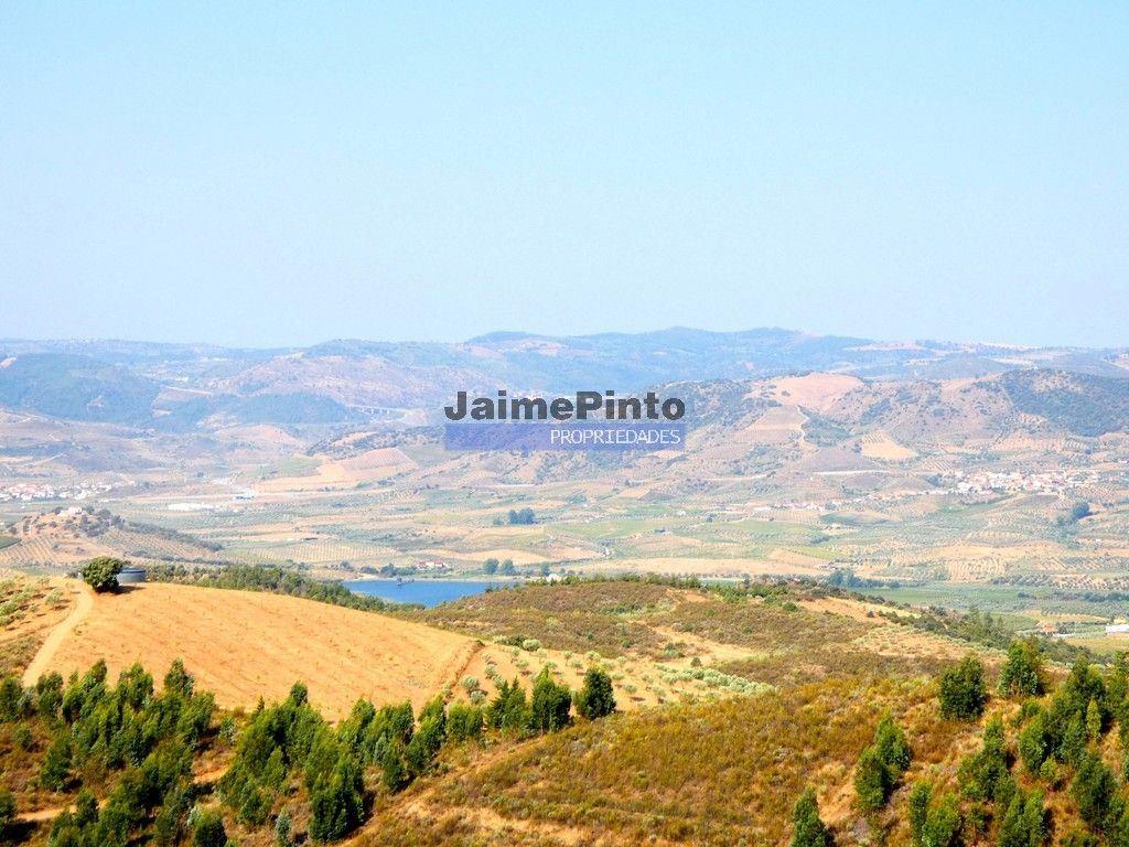 Terreno agrícola 110.000m2 para plantações novas. Portugal, Alfândega da Fé.