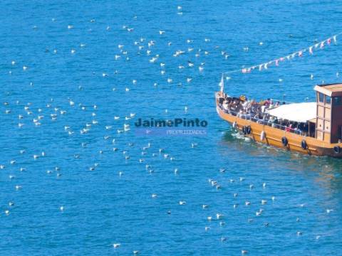 Apartamento T0, em construção, central, em piso elevado. Portugal, Porto.