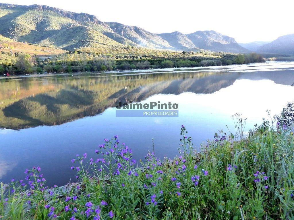 Quinta 98,7ha, Vinha, Turismo, rio Douro, Natureza imensa. Portugal, Guarda, Douro Superior.