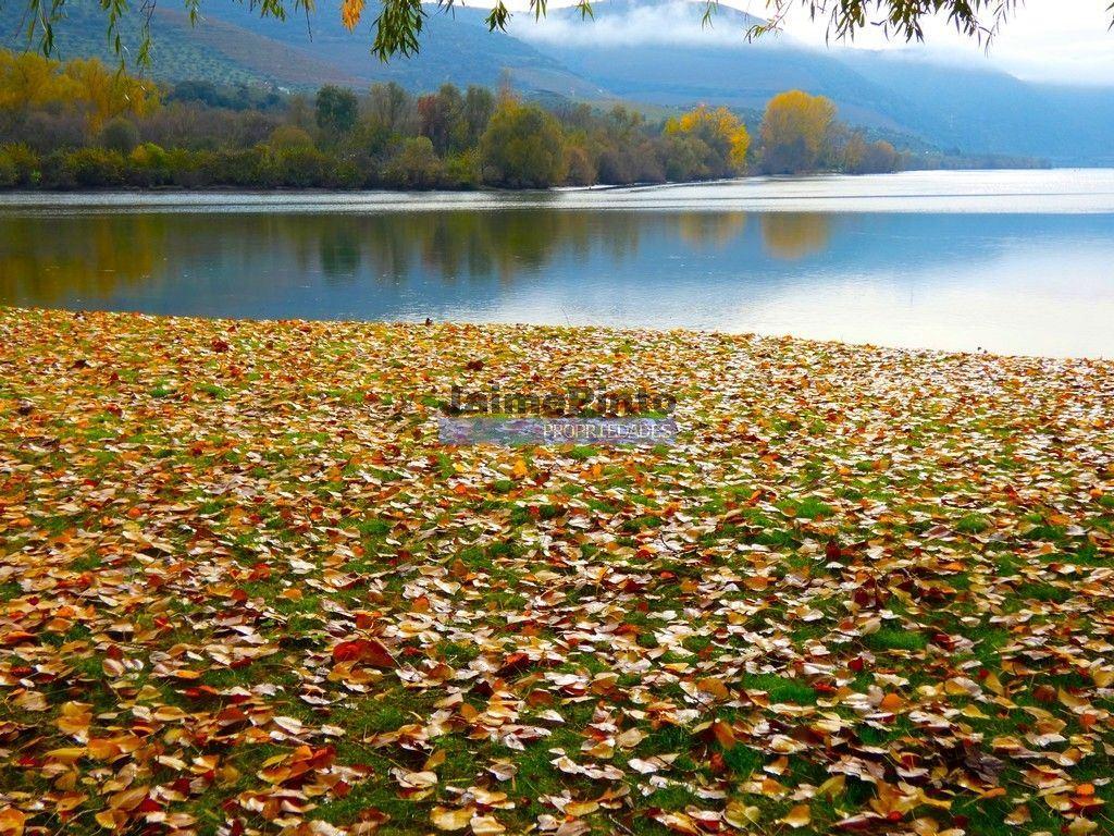 Quinta 98,7ha, Vinha, Turismo, rio Douro, Natureza imensa. Portugal, Guarda, Douro Superior.