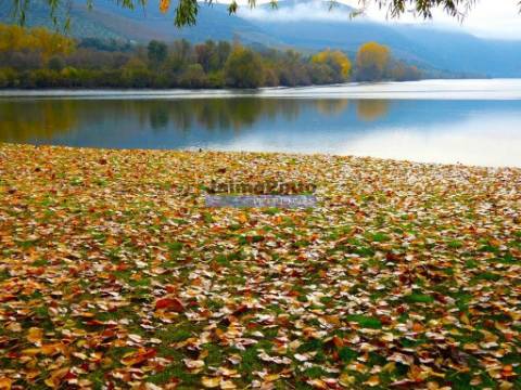 Quinta 98,7ha, Vinha, Turismo, rio Douro, Natureza imensa. Portugal, Guarda, Douro Superior.