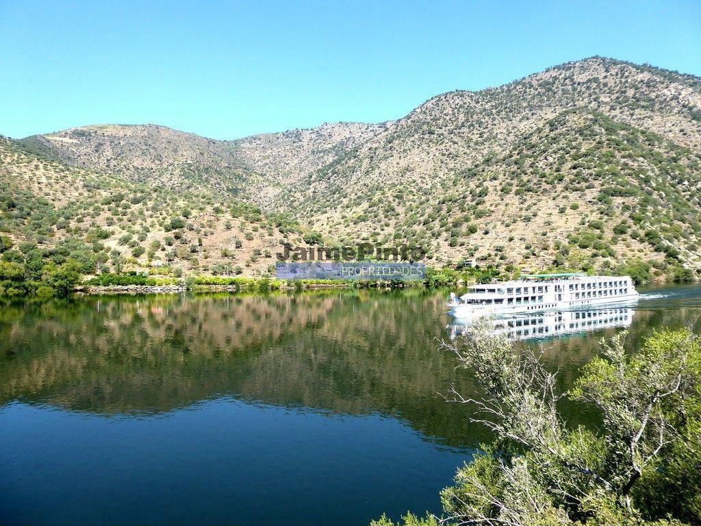 Quinta 98,7ha, Vinha, Turismo, rio Douro, Natureza imensa. Portugal, Guarda, Douro Superior.