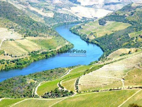 Quinta 98,7ha, Vinha, Turismo, rio Douro, Natureza imensa. Portugal, Guarda, Douro Superior.