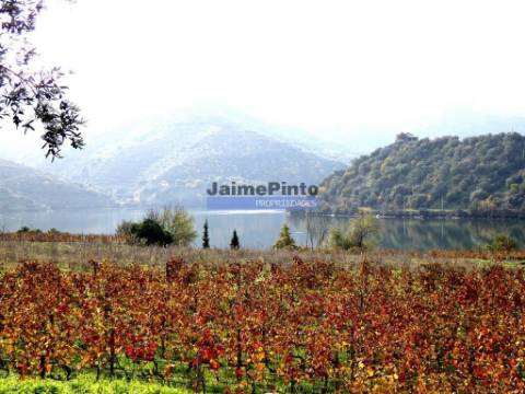 Quinta 98,7ha, Vinha, Turismo, rio Douro, Natureza imensa. Portugal, Guarda, Douro Superior.
