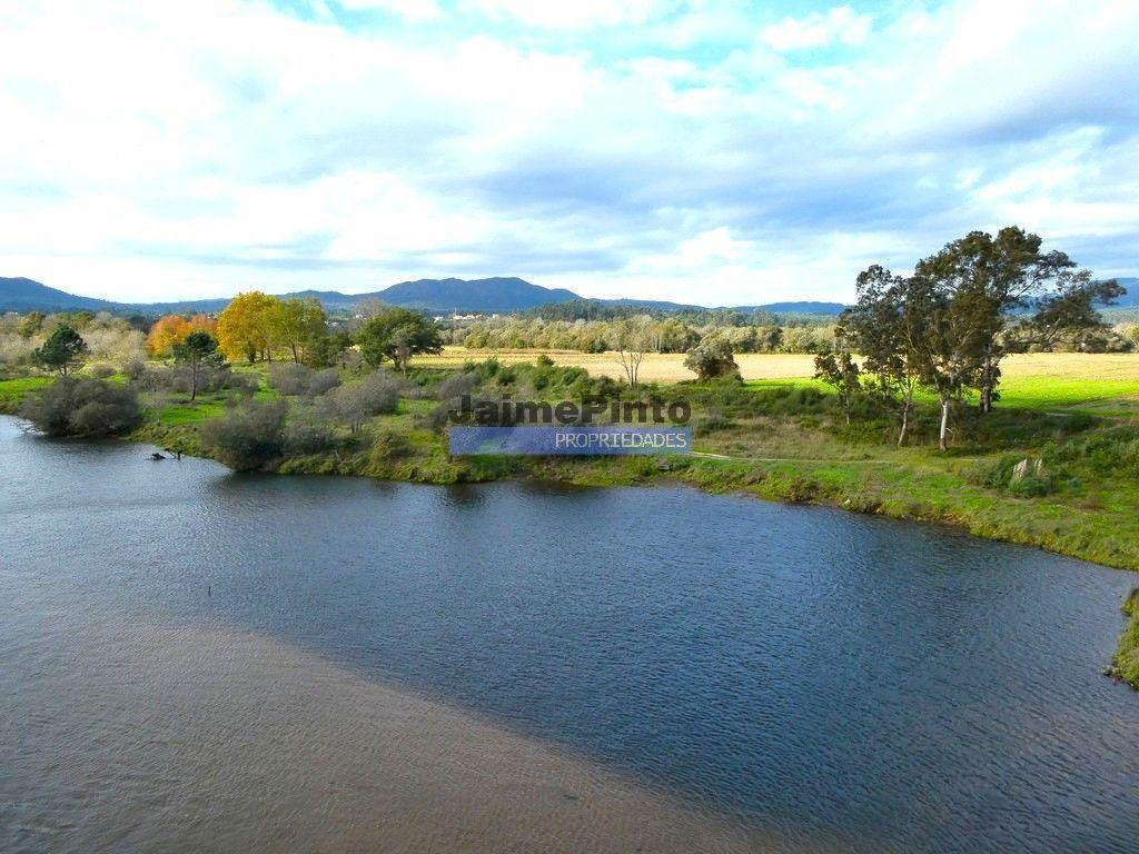 30.000m2, quinta contígua Rio Lima, Viana do Castelo. Portugal, Norte, Minho.