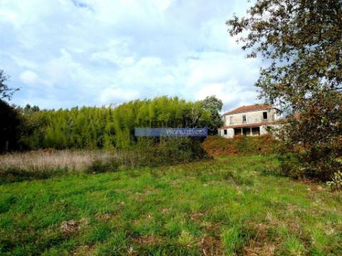 30.000m2, quinta contígua Rio Lima, Viana do Castelo. Portugal, Norte, Minho.