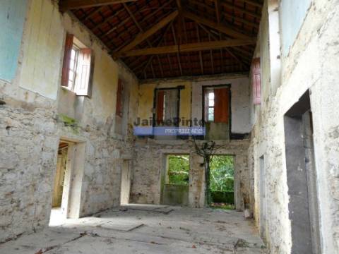 30.000m2, quinta contígua Rio Lima, Viana do Castelo. Portugal, Norte, Minho.