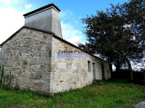 30.000m2, quinta contígua Rio Lima, Viana do Castelo. Portugal, Norte, Minho.