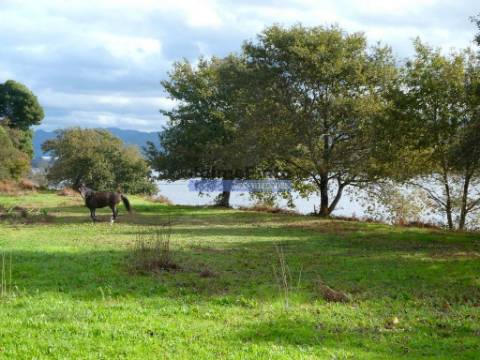 30.000m2, quinta contígua Rio Lima, Viana do Castelo. Portugal, Norte, Minho.