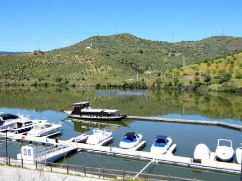 Quinta, Olival, Vinha, Casa Agrícola, no Pocinho. Portugal, V. N. Foz Côa.