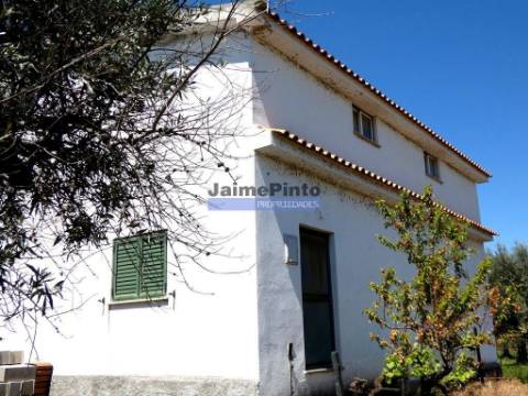 Quinta, Olival, Vinha, Casa Agrícola, no Pocinho. Portugal, V. N. Foz Côa.