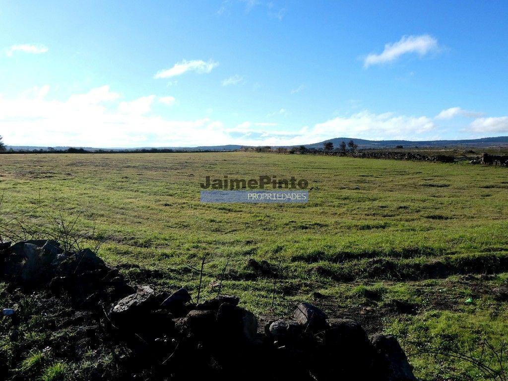 Terrenos rústicos 115.000m2, Escalhão. Portugal, Guarda, F. C. Rodrigo.