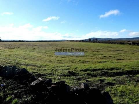 Terrenos rústicos 115.000m2, Escalhão. Portugal, Guarda, F. C. Rodrigo.