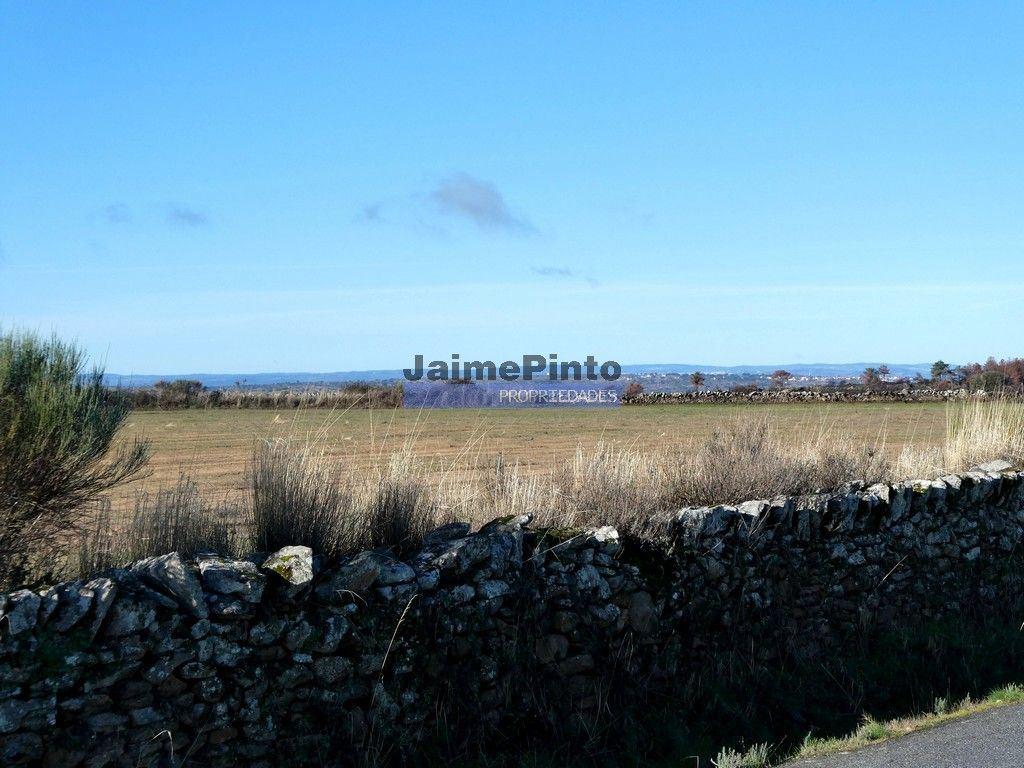 Terrenos rústicos 115.000m2, Escalhão. Portugal, Guarda, F. C. Rodrigo.