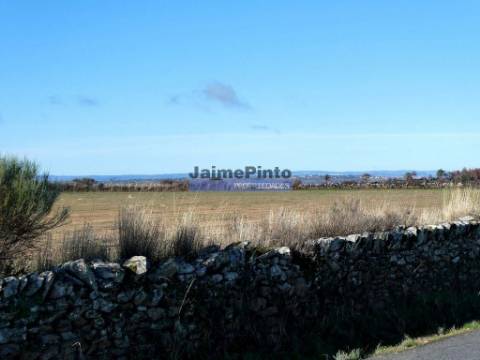 Terrenos rústicos 115.000m2, Escalhão. Portugal, Guarda, F. C. Rodrigo.
