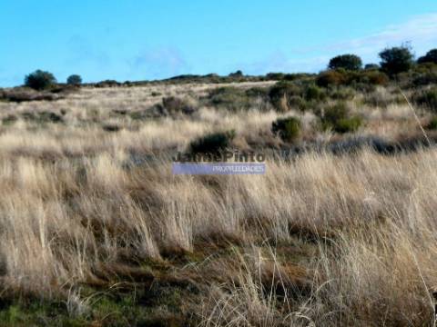 Terrenos rústicos 115.000m2, Escalhão. Portugal, Guarda, F. C. Rodrigo.