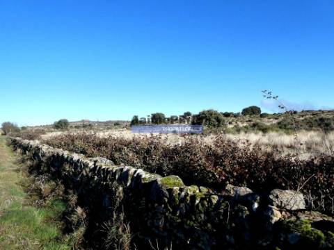 Terrenos rústicos 115.000m2, Escalhão. Portugal, Guarda, F. C. Rodrigo.