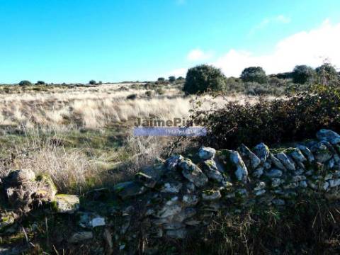 Terrenos rústicos 115.000m2, Escalhão. Portugal, Guarda, F. C. Rodrigo.