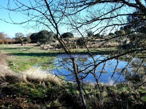 Terrenos rústicos 115.000m2, Escalhão. Portugal, Guarda, F. C. Rodrigo.