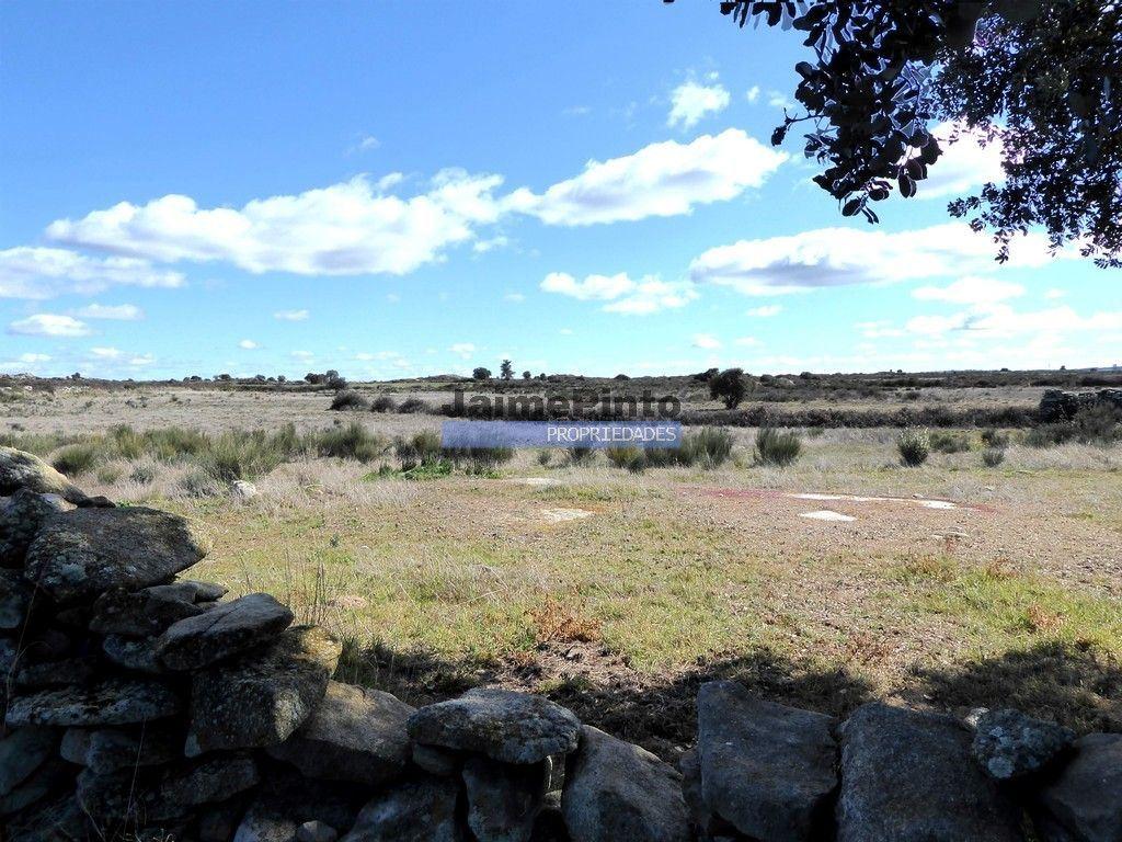 Terreno rústico 32,5ha p/ plantações novas. Portugal, Guarda, Figueira de Castelo Rodrigo.