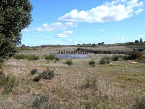 Terreno rústico 32,5ha p/ plantações novas. Portugal, Guarda, Figueira de Castelo Rodrigo.