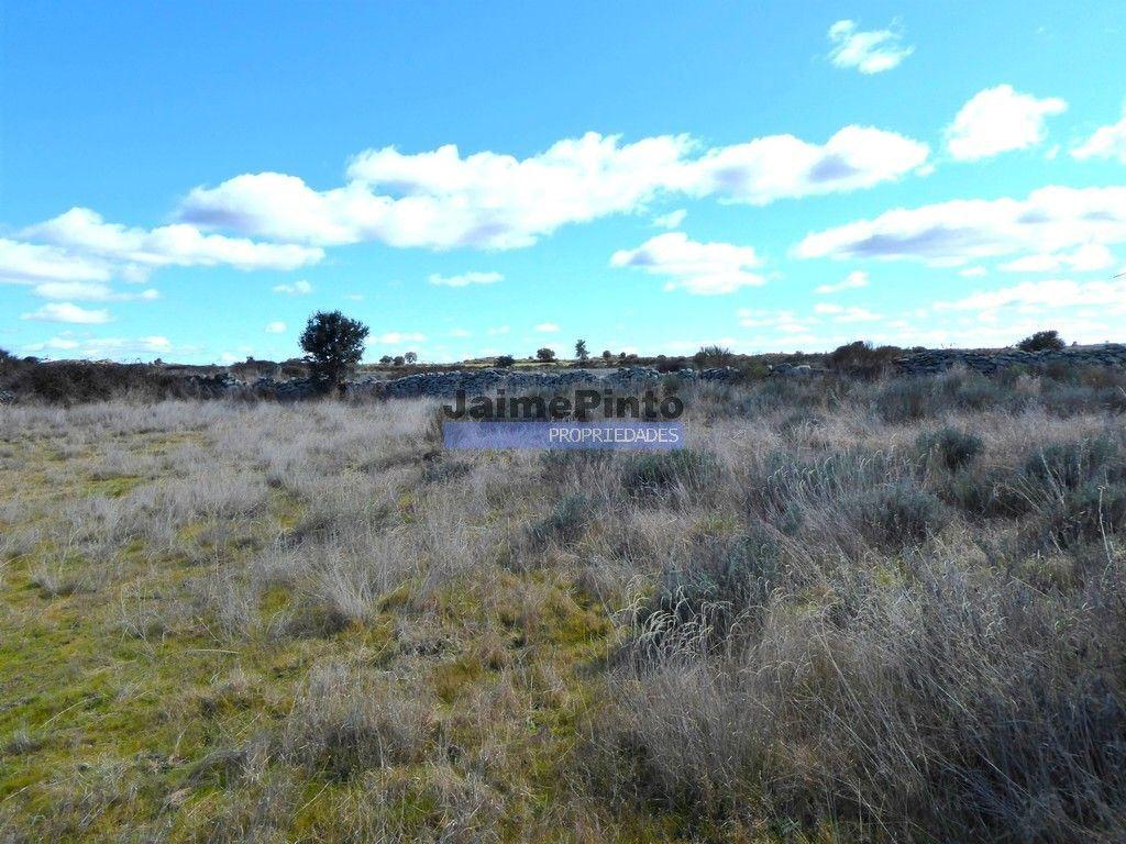 Terreno rústico 32,5ha p/ plantações novas. Portugal, Guarda, Figueira de Castelo Rodrigo.